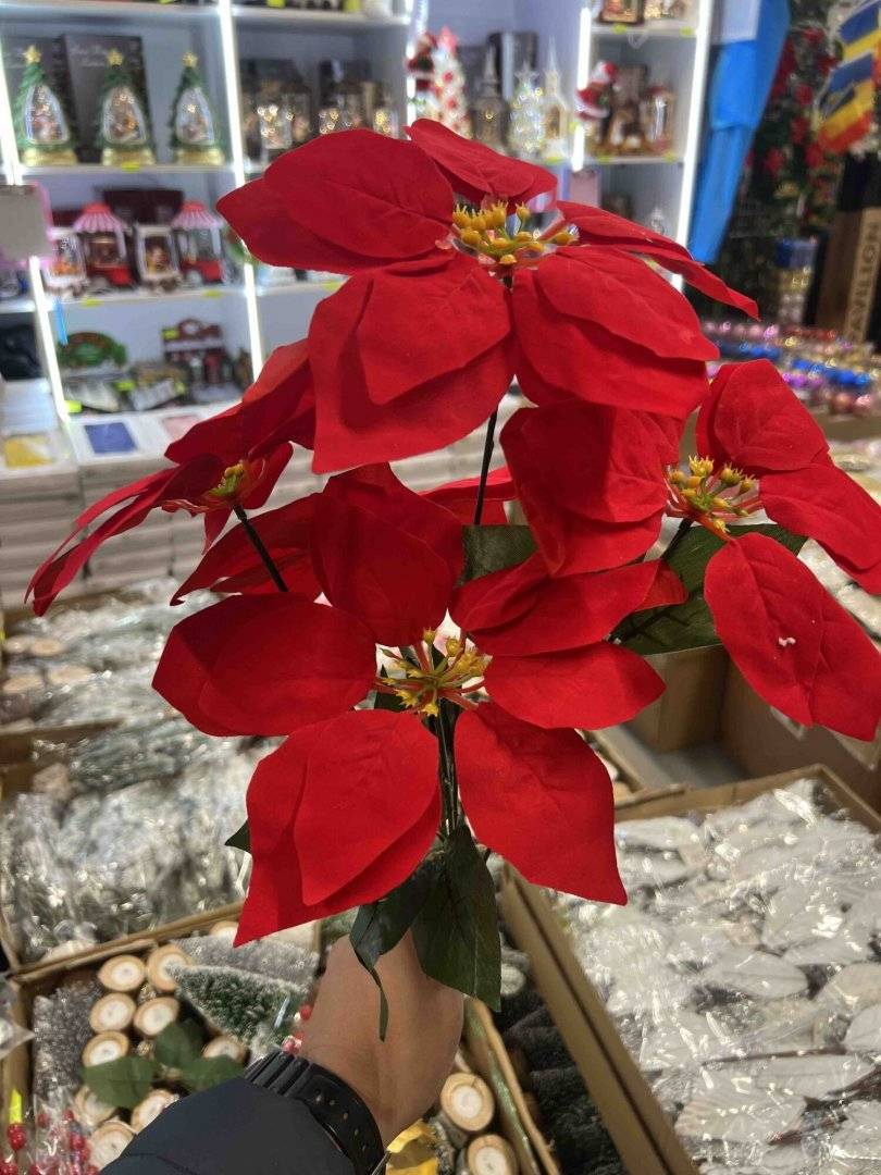 Buchet cu 5 flori de Craciun