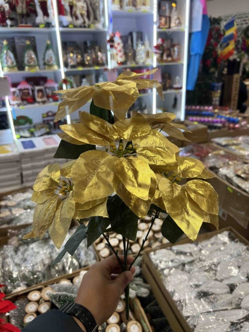 Buchet cu 5 flori de Craciun