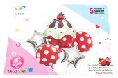Baloane 5/Set Cu Briosa