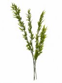 Bambus Artificial Verde 4 marimi 2m