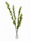 Bambus Artificial Verde 4 marimi 1.7m
