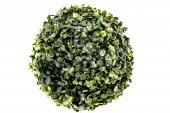 Bile Verdeata Buxus 28 Cm