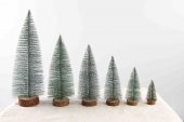 Bradut decorativ cu varfuri albe 10 cm 10/set