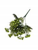 Buchet Bobite Lacuite Cu Frunze Brumate Verde