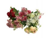 Buchet Bujori cu Floarea Miresei