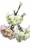 Buchet Crengi Flori de Cires Legat