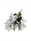 Buchet Crin Peruan