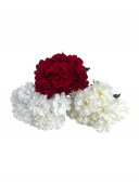 Buchet Dalie 9 Flori