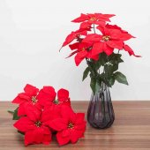 Buchet de Craciun cu 5 flori rosii