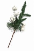 Buchet Decorativ Alb cu Fructe Albe si Brad