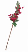 Buchet Decorativ cu Fructe Rosii, Brad si Frunza