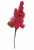 Buchet Decorativ Rosu cu Ace de Brad, Fructe si Con
