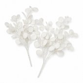 Buchet Eucalipt Alb 2/set