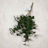 Buchet Frunze Ascutite Artificiala