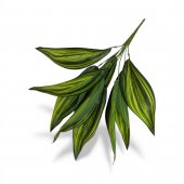 Buchet Frunze Exotice 01