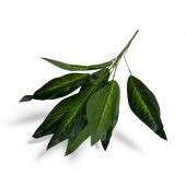 Buchet Frunze Exotice 02