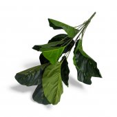 Buchet Frunze Exotice Verde Cu Striatii Maro