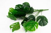 Buchet Frunze Filodendron