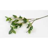 Creanga Frunze Striatii Albe 67cm