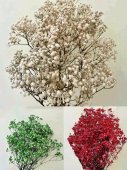 Buchet Gypsophila Stabilizat
