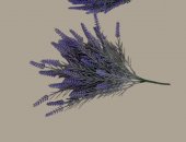 Buchet Lavanda Artificiala 2/set 01