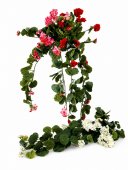 Buchet Muscata Artificiala Curgator