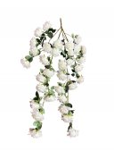Buchet Tradafir Curgator Cu 34 flori- 127cm