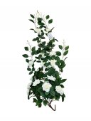 Buchet Trandafiri Curgator
