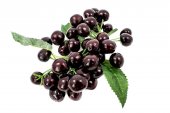 Cirese Artificiale Buchet Pe Crenguta Negre