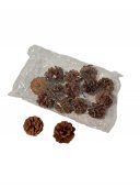 Conuri Brad 5-6cm