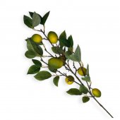 Creanga Cu Lamai Verde-Galben