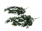 Creanga Frunze Decorativa 2/set 03