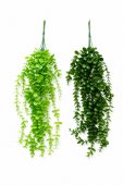 Creanga Frunze Decorativa 2/set 04