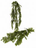 Creanga Frunze Decorativa Cu Asparagus 85cm 2/set