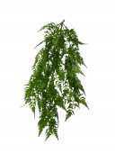 Creanga Frunze Decorativa Feriga 85cm 2/set
