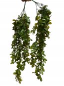 Creanga Frunze Decorativa Salcam 74cm 2/set