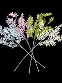 Creanga Frunze Salcam Colorate 01