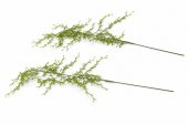 Creanga Frunzulite Artificiala 110cm 2/set