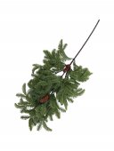 Creanga Molid Verde 64 Cm