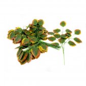 Crengi 12/set Frunze Ovale Verde Margini Galben