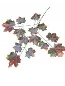 Crengi Artar 12/Set Maro-Verde