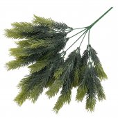 Crengi Brad Varfuri Verde Deschis