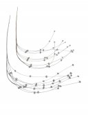 Crengi Decorative Din Pietre Transparente Din Plastic