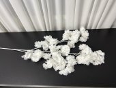 Crengi Flori De Cires Alb Pur