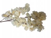 Crengi Flori De Cires Somon Deschis