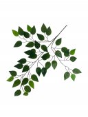 Crengi Frunze Artificiale Cires 12/set