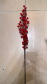 Crenguta cu bobite rosii decorative