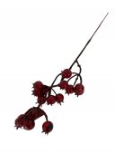 Crenguta Decorativa Macese 30/Set