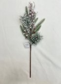 Crenguta decorativa ninsa cu bobite