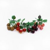 Crenguta Fructe Plastic Cu Magnet 10/set